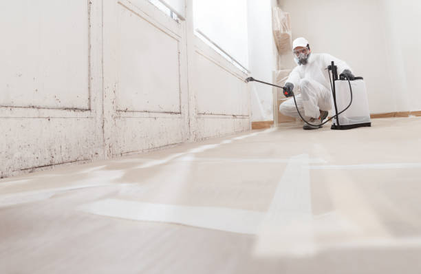 24/7 Emergency Commercial Mold Remediation experts in Huntingdon, TN