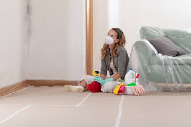 Reliable Commercial Mold Remediation contractor in Huntingdon, TN by WQB Mold Removal